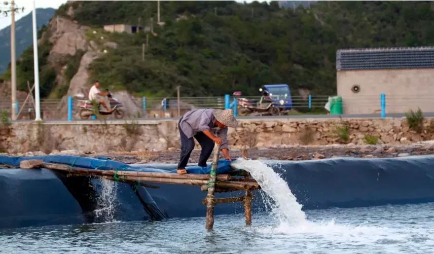 绝美！宁波这个地方 开启“调色板”模式