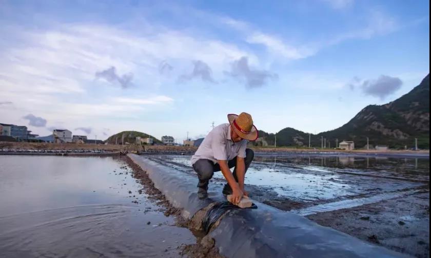 绝美！宁波这个地方 开启“调色板”模式