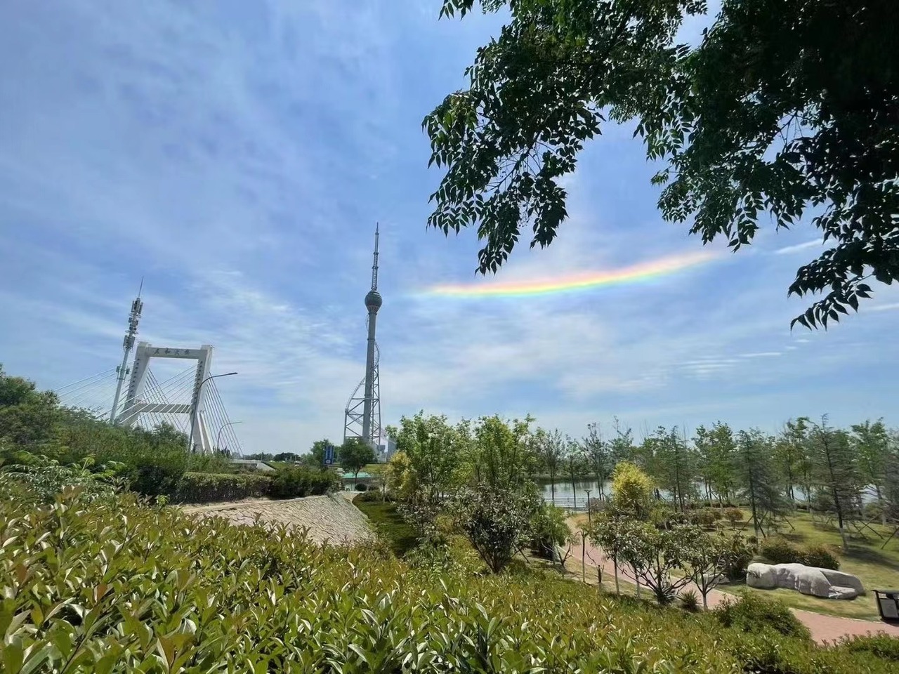 Solar Halo Shines over Linyi_fororder_5