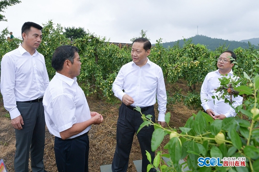 7月22日,省委书记彭清华到三台县芦溪镇涪城村蹲点调研,了解农村产业