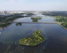 河北石家庄：滹沱河生态治理见成效