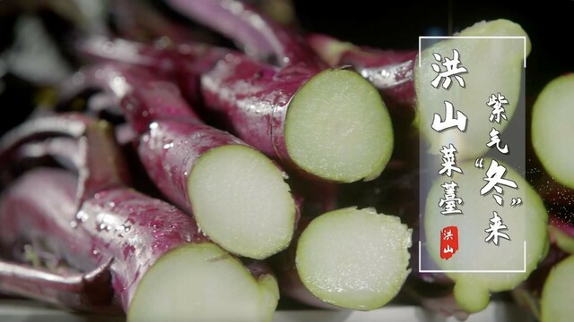 武汉优质农产品亮相央视 吹响区域公用品牌创建新号角