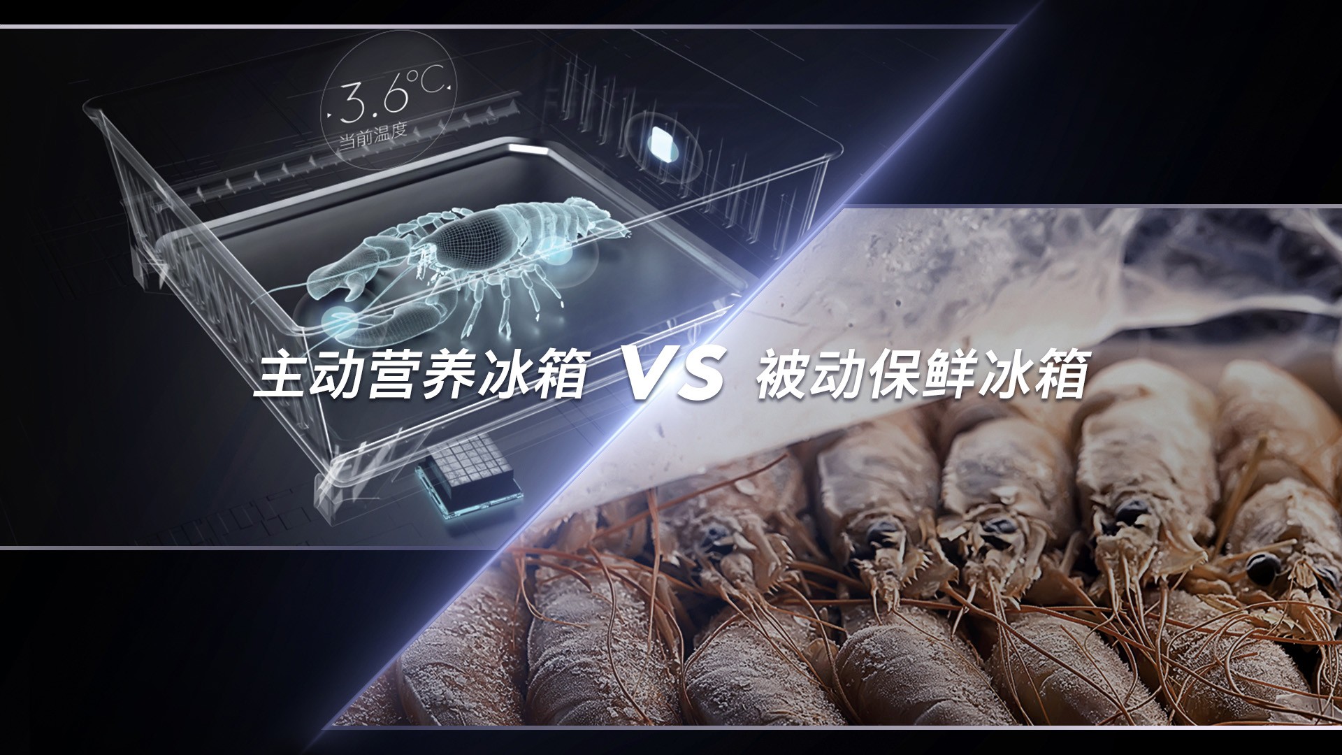高端突围 赛道创新 COLMO加冕“2022中国冰箱行业AI营养科技引领品牌”