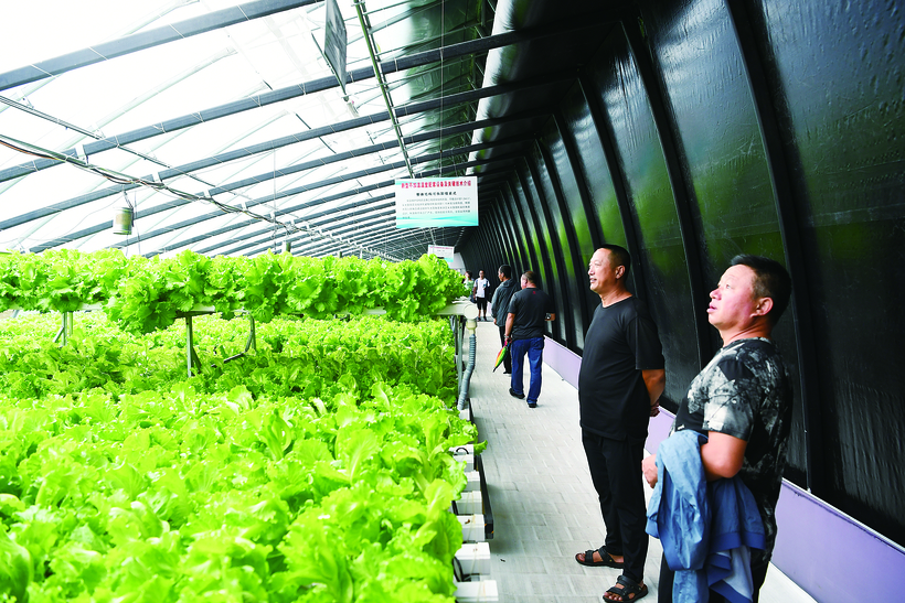 長春農博會推出“五防溫室”：零下40攝氏度可以不加溫生産果菜