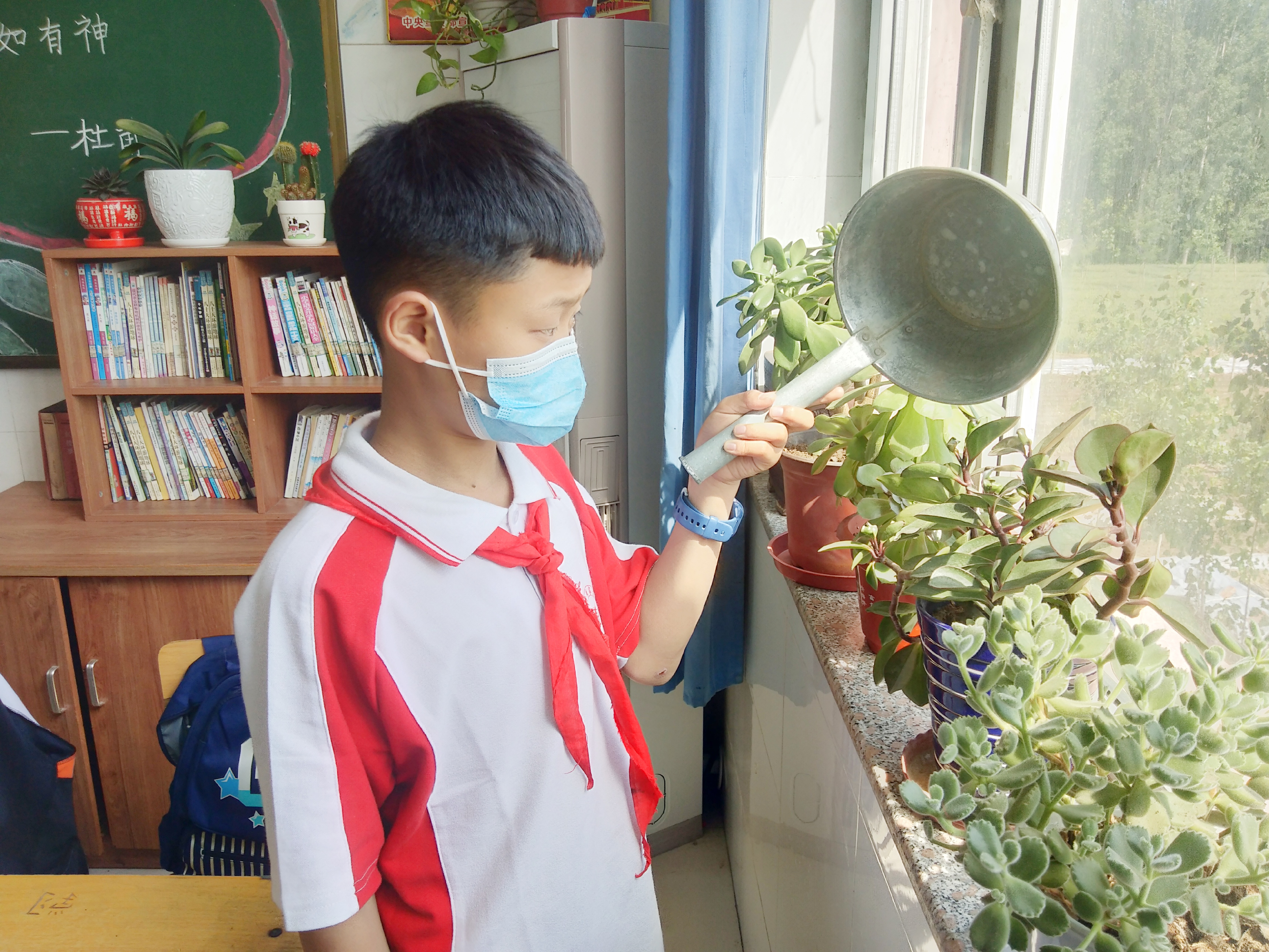 （原创）石家庄市正定县曲阳桥镇周家庄小学：当好“护花使者” 创建生态教室_fororder_1