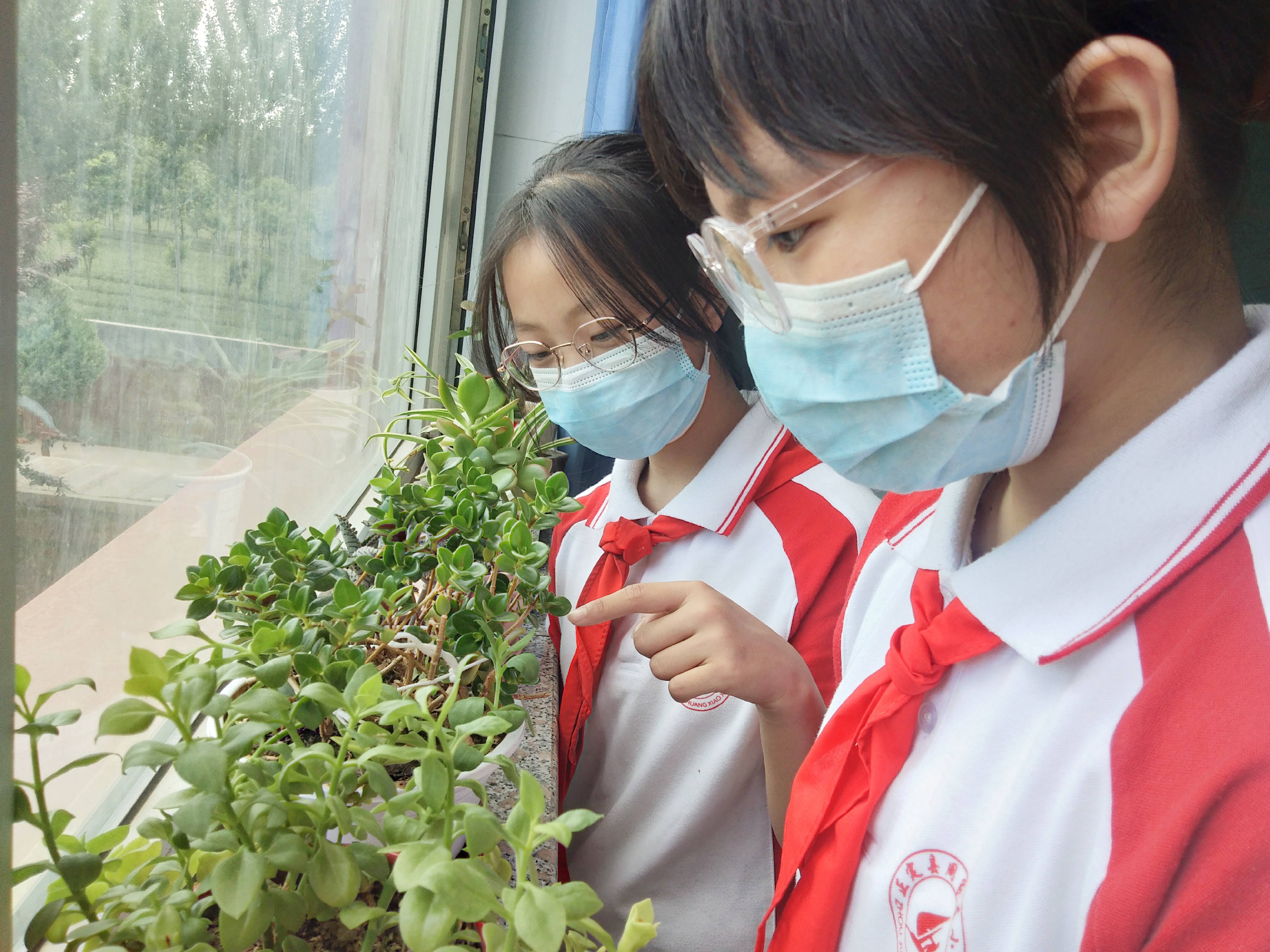 （原创）石家庄市正定县曲阳桥镇周家庄小学：当好“护花使者” 创建生态教室_fororder_2