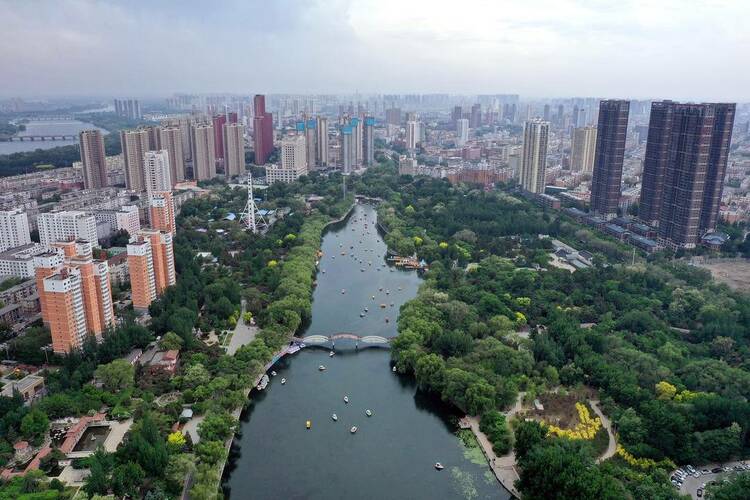 “見縫插綠”！瀋陽持續優化城市生態環境