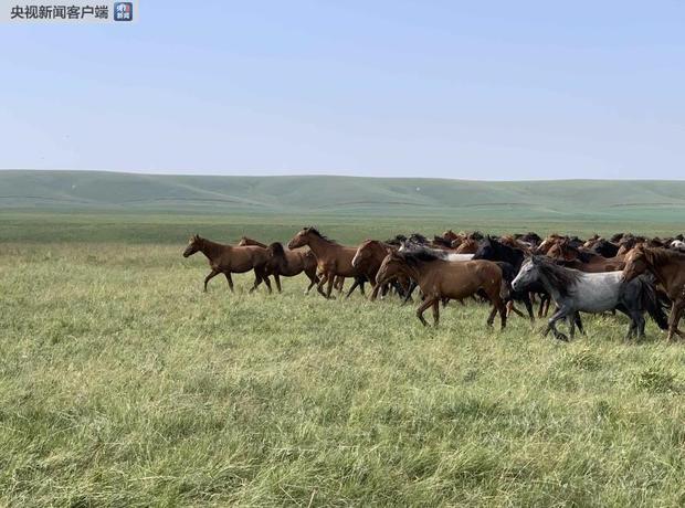 时政新闻眼丨鉴往知来——跟着总书记学历史