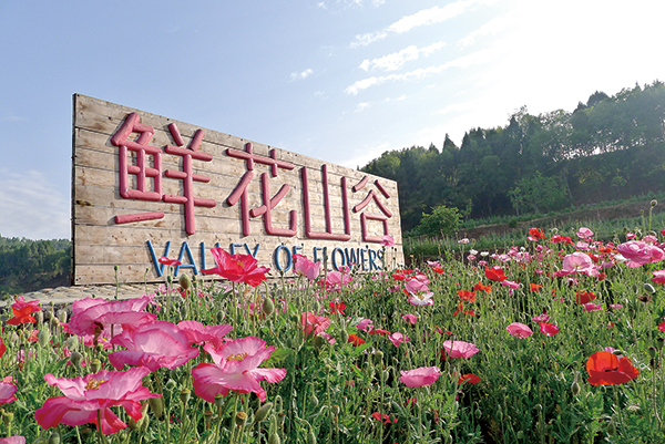 蜀葵花开时 享成都金堂的独特浪漫_fororder_微信图片_20220530171217