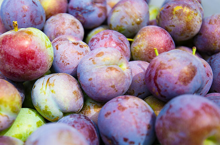 自贡大安五月脆李获丰收庙坝镇1200亩李子园助力乡村振兴发展