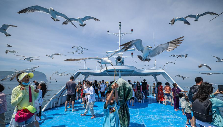 极具画面感！山东打造千里海岸观光廊道