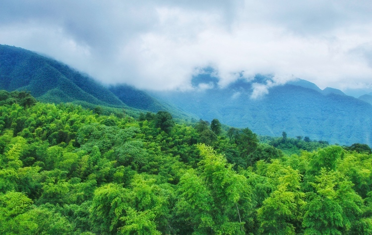 以生态“底色”绘发展“绿色” 贵州生态旅游产业多彩融合