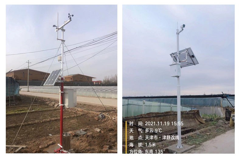 京东农场数智化助力沙窝萝卜产业奏响乡村振兴新序曲