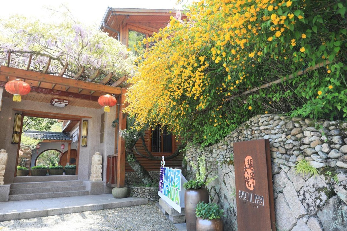 3千亩大堰生态白茶“摇钱树”长在浙江奉化