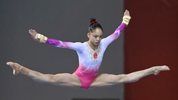 中国体操队巩固优势地位明确努力方向
