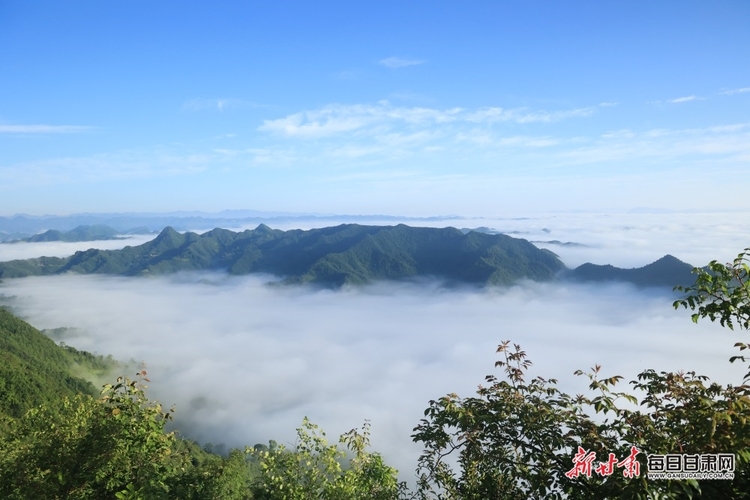 甘肃康县图片