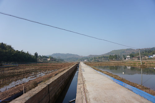 【區縣聯動】【大足】大足：整治農村土地 擴大有效耕地1.4萬畝【區縣聯動】大足：實施農村土地整治