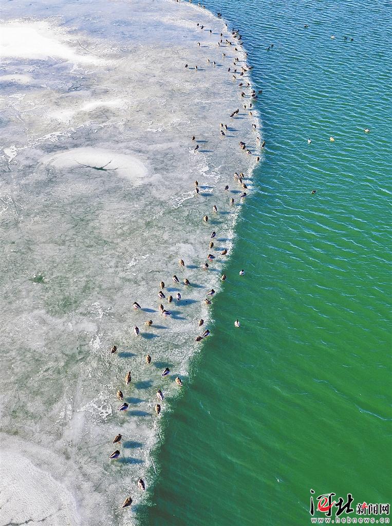 美丽河北·人文之美：水沃文安