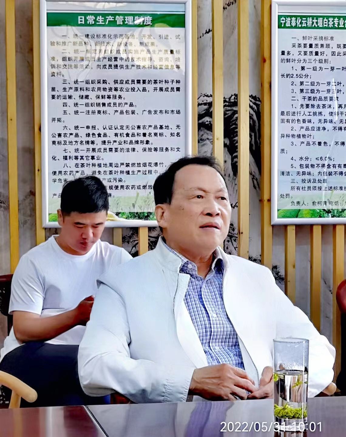 3千亩大堰生态白茶“摇钱树”长在浙江奉化