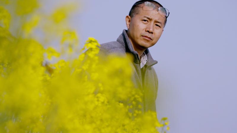 莫言的高密,贾平凹的商州,迟子建的冰雪北国……作家如何成了"故乡