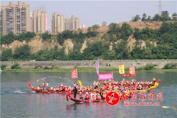 （轉載）走進龍舟節 | 奮楫爭先立潮頭 同舟共濟搏激流——讓龍舟精神助推安康高品質發展