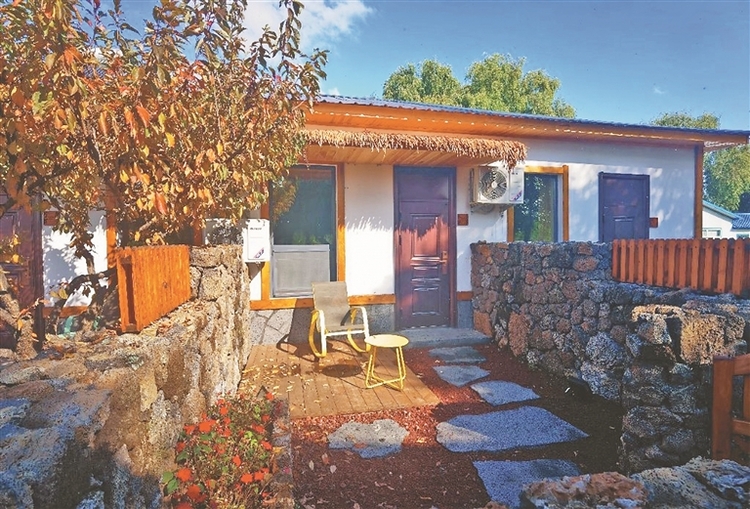 鄉村遊如何成為振興新引擎?