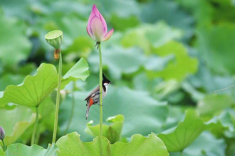 廣西：強降雨趨於結束 夏至攜晴熱上線