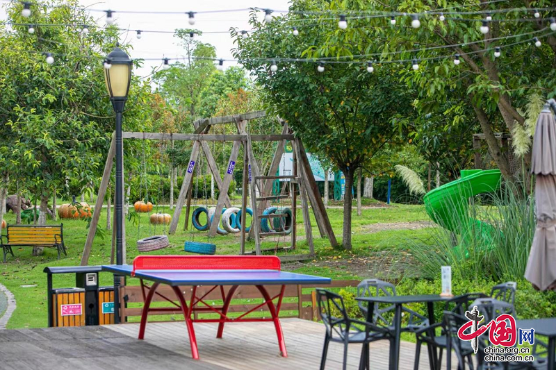 （转载）成都锦江区：做优公园城市乡村表达打造都市田园游新样本