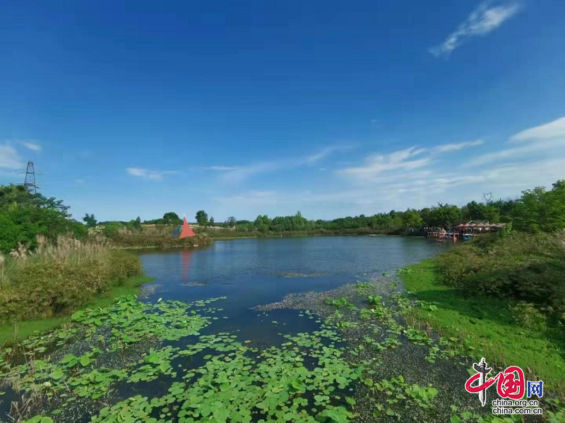 （转载）成都锦江区：做优公园城市乡村表达打造都市田园游新样本