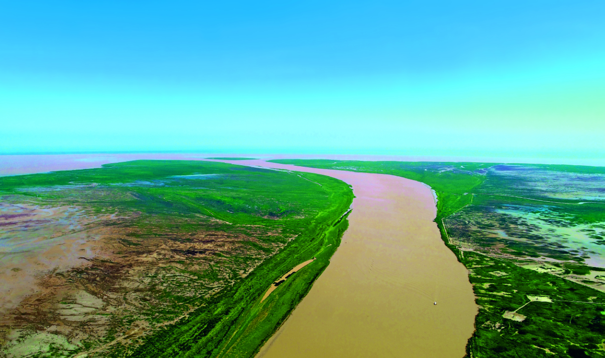 山东举行六五环境日主场宣传活动