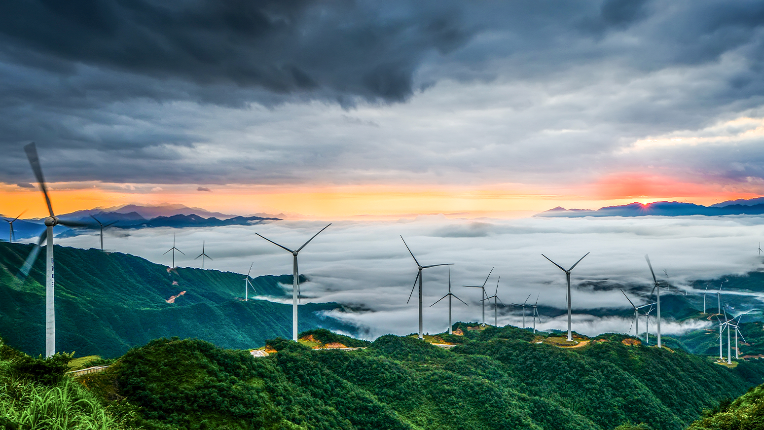 劳动者视角看中国丨只此青绿致此青春