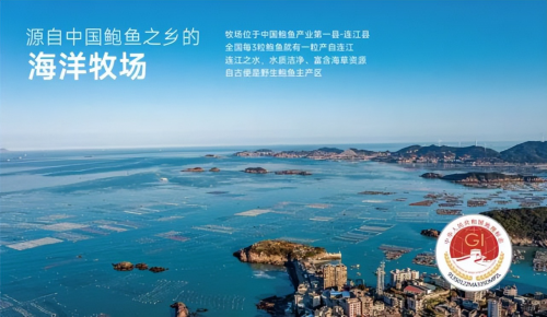 源丰海科：积极探索供应链创新 打造“鲍鱼预制菜领导者”