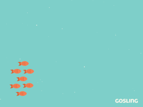 这15句英文谚语竟和中文神同步！收藏备用