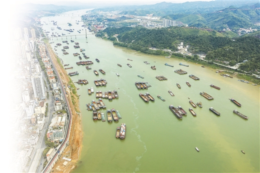 以变应变新广西