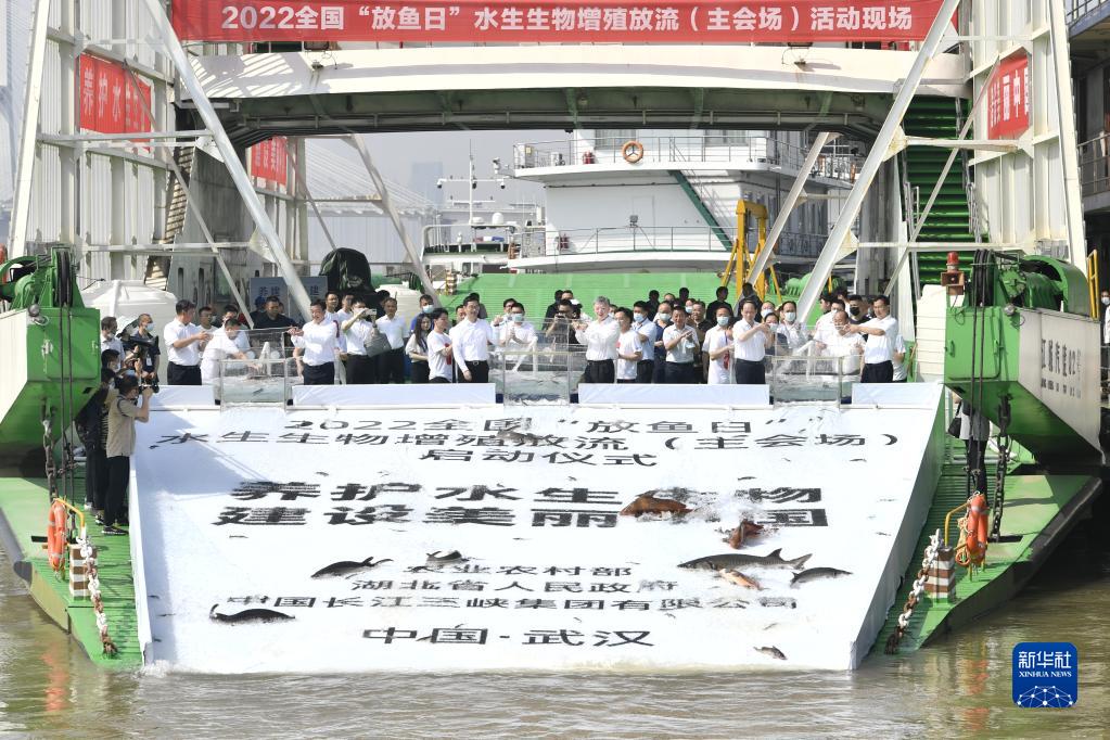 湖北放流水生生物苗种3000余万尾