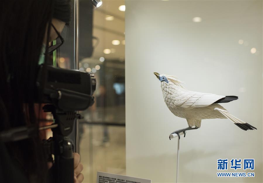 “鸟语花香：纸雕艺术展”将在香港举行