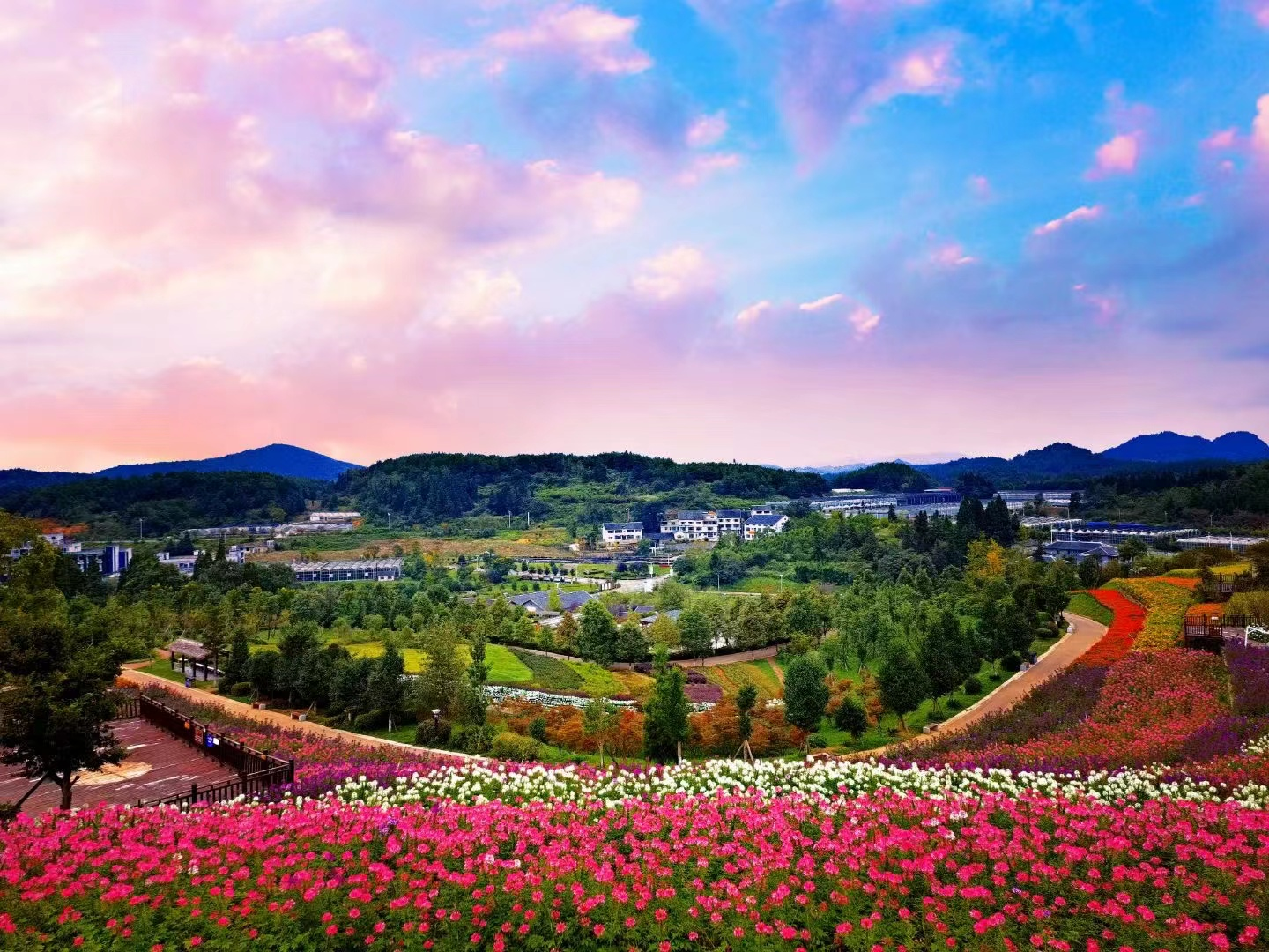 避暑度假到贵州 相约到贵阳看花海