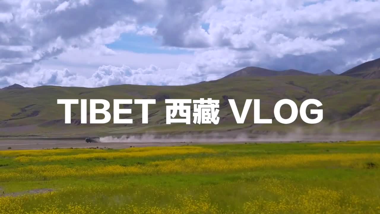英国小哥日喀则在世界青稞之乡收青稞