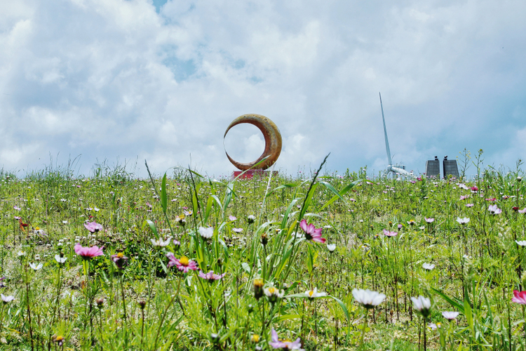夏日出游 来龙里感受“油画草原之子”的魅力
