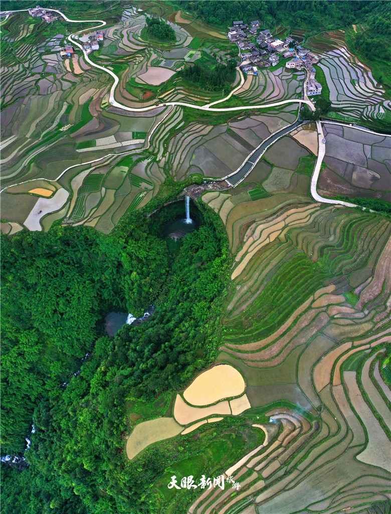 黔南贵定腊利梯田：夏日风光如诗如画 秦刚