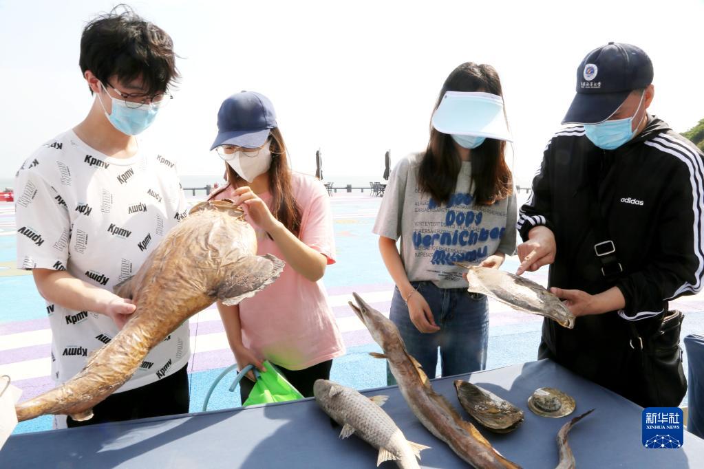 世界海洋日：保护海洋 爱护家园