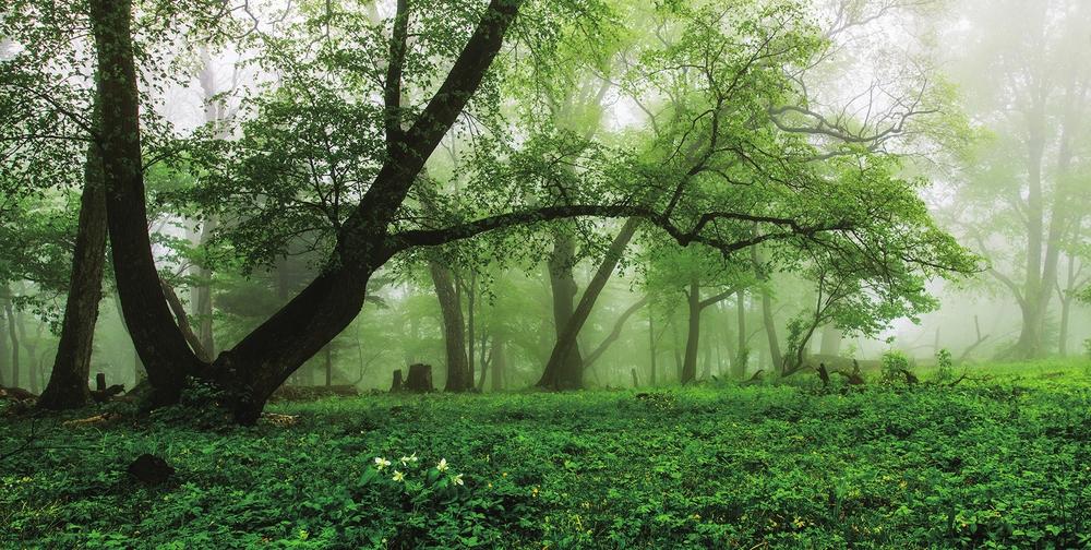 生态通化：风景这边独好_fororder_5f6566ae-04bf-4d69-ad0d-c793ad098207