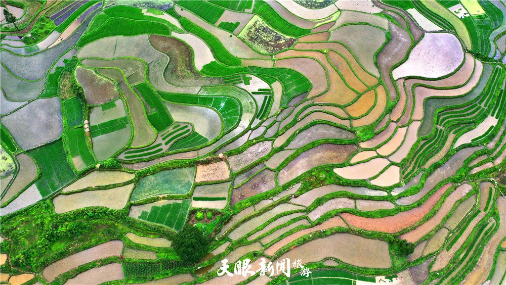 黔南贵定腊利梯田：夏日风光如诗如画 秦刚