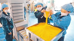 大同老区新画卷