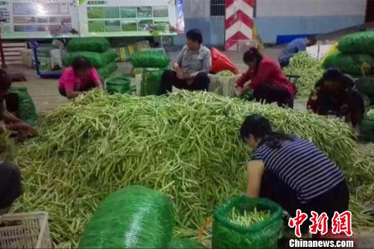 湖北五峰免费支援武汉洪涝灾区170吨蔬菜
