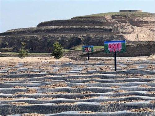 宁圣农业供应链集团赴甘肃调研 推动相关产业创新变革