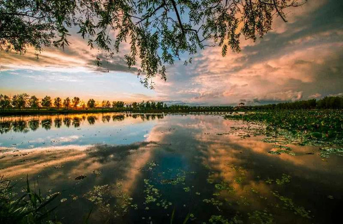 肇源의 아름다운 전원풍경_fororder_2