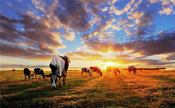 肇源의 아름다운 전원풍경_fororder_4