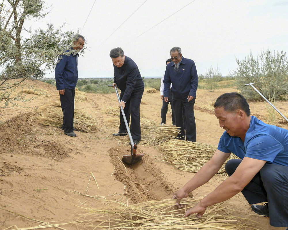 习近平甘肃之行点亮富民兴陇新“色彩”