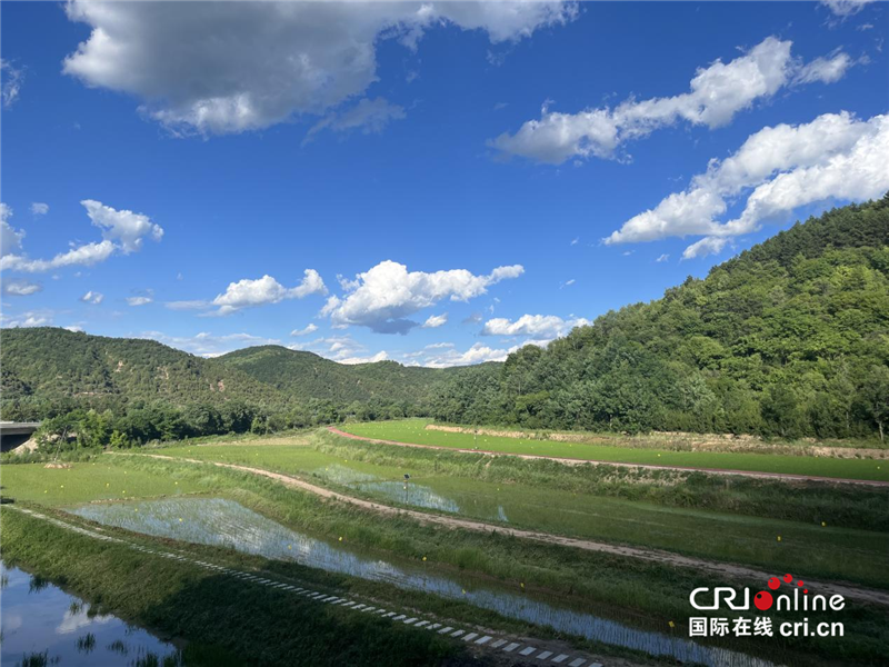 陕北“小江南”的“大野心”：打造生态农业田园综合体_fororder_图片16